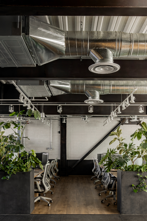 Oficinas_JMABAUEN_Diseño_Arquitectonico_AR_010